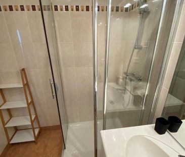 Location Appartement 1 pièce 30m² NIORT 79000 - Photo 6