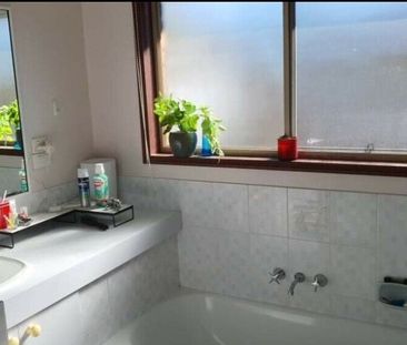 Manly West - Photo 3