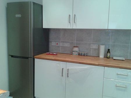 Room in a Shared Flat, Pretoria Road, N17 - Photo 4