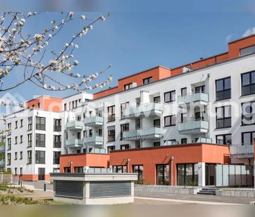 TAUSCHWOHNUNG 2 Zimmer Wohnung mitten in Bonn Auerberg - Photo 1