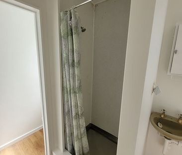 Recently renovated 1-bedroom unit - Photo 5