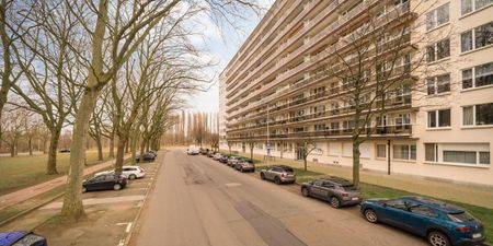 Appartement te huur in Antwerpen voor € 950 met 2 slaapkamers - Foto 3