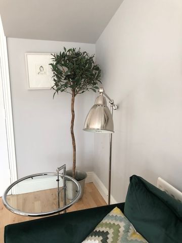 Ballsbridge Wood, Ballsbridge Dublin 4 - Photo 3