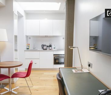 Studio for rent in Donnybrook, Dublin - Photo 3