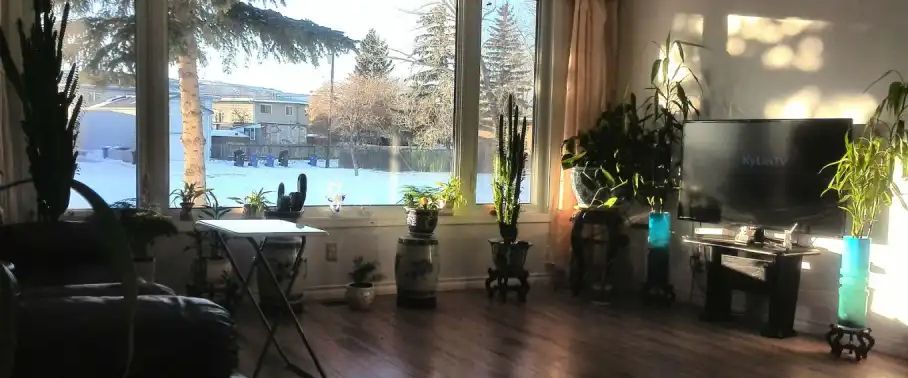 3 bedrooms in Center street - Bus 15 minutes to core area $1400 | Calgary - Photo 1