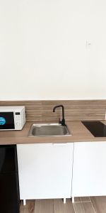 Location Appartement 1 pièce 16m² FAMARS 59300 - Photo 3