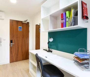 Studio Bronze - Photo 6