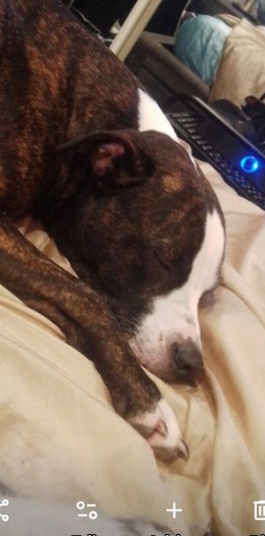 Mannering Park - Photo 2