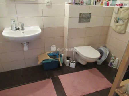 Hezký prostornější byt 1+1 po částečné rekonstrukci, Praha 6 – Dejvice - Fotografie 5