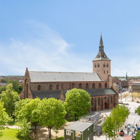 Skøn 3 værelses lejlighed til leje - Photo 3