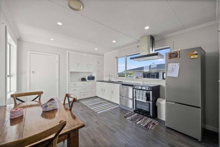 Solid Stobo - Photo 5