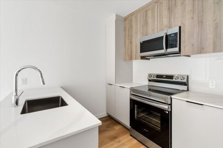 816 2e Avenue condo — Montréal, QC (1-Bedroom) - 1 Bedroom - Photo 3