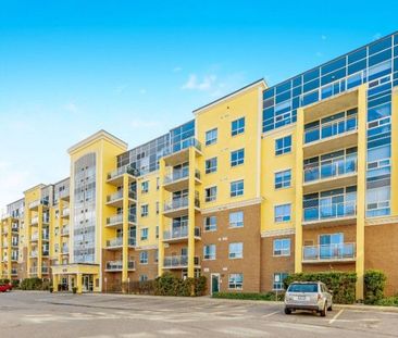 For Lease - 1419 Costigan Road Unit# 101, Milton, Ontario - Photo 6