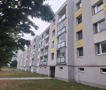 Byt 3+1 k pronájmu, Pardubice / Cihelna, ulice U Josefa - Photo 1