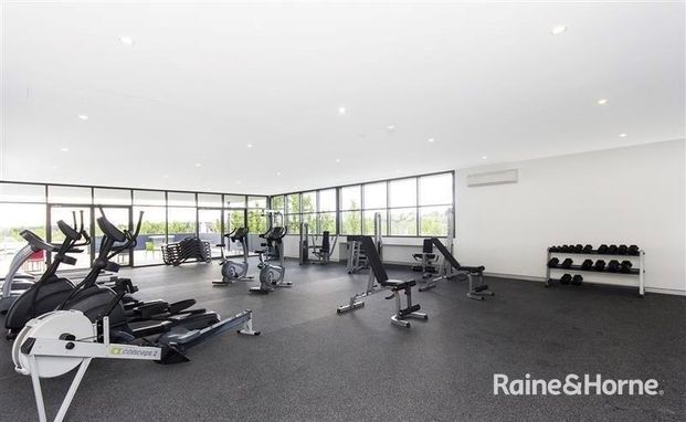 101/41 Chandler Street, Belconnen ACT 2617 - House For Rent | Domain - Photo 1