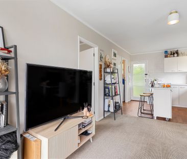 Herne Bay Perfection - Photo 4