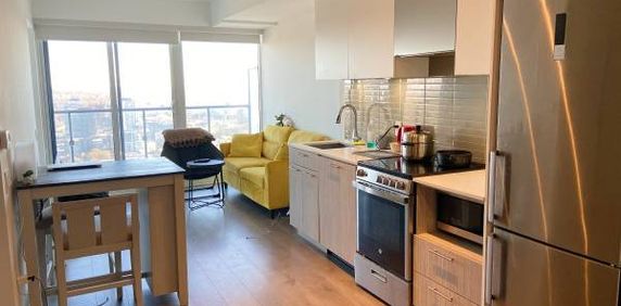 Downtown Toronto furnished two bedroom condo with skyline lake view - Photo 2