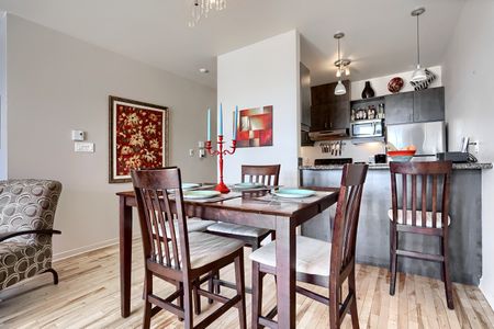 Condo for rent, Montréal (Ville-Marie) - Photo 3