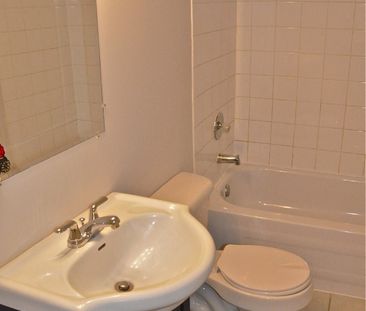 1563 Dale St. - Photo 2