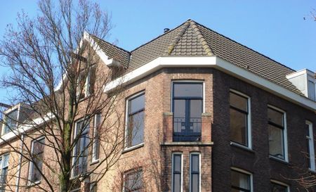 Karel Du Jardinstraat 45III 1072 SG Amsterdam - Photo 2