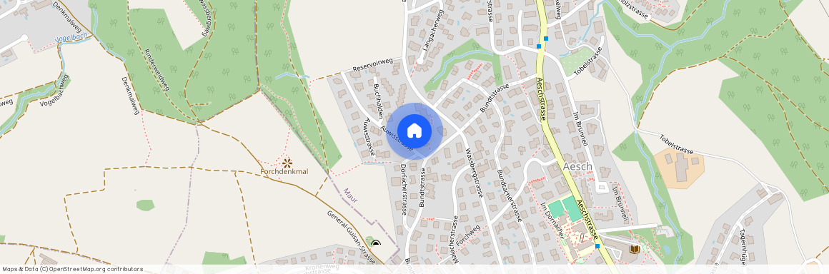 Bundtstrasse 19, 8127 Forch