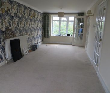 3 bed Bungalow - To Let - Photo 1