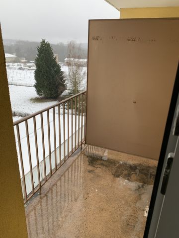 Location Appartement 4 pièces 76m² SARREGUEMINES 57200 - Photo 5