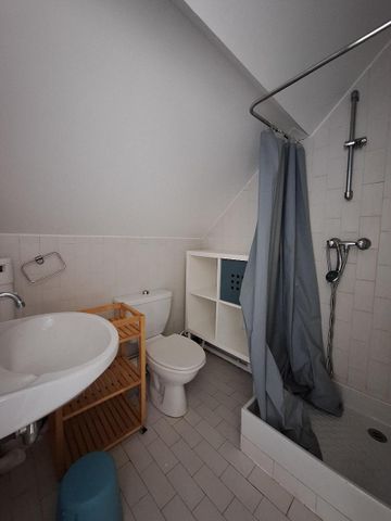 Location Appartement 1 pièce 11m² DIJON 21000 - Photo 4