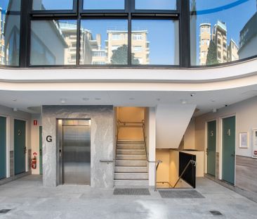 Paddington - Photo 6