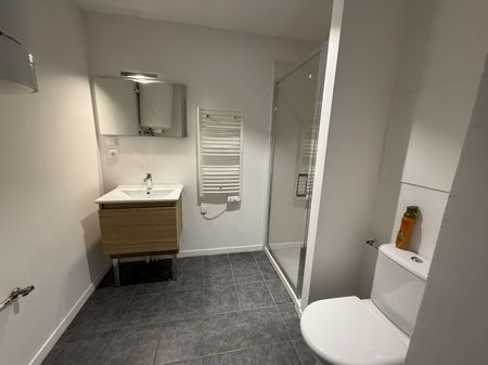 Location Appartement 1 pièce 29m² - Photo 5