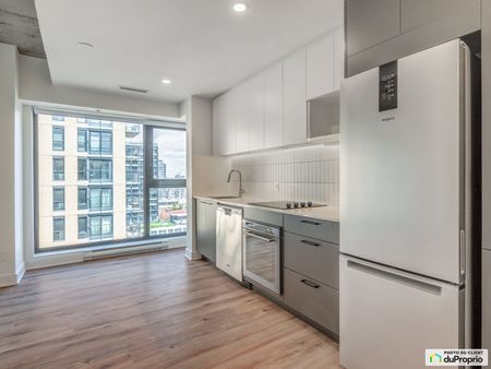 235, rue Young -4 1/2 - Griffin Square, Griffintown à louer - Photo 5