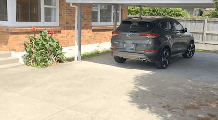 Charming 3 Bedroom Family Home in Desirable Otumoetai - Photo 4