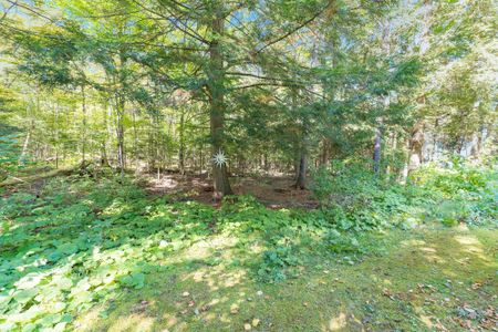 For Lease - 43 Manitou Crescent N/A, Tiny, Ontario - Photo 2