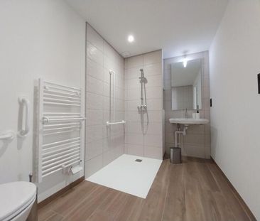 Location Appartement 1 Pièce 20 m² - Meublé - Photo 5