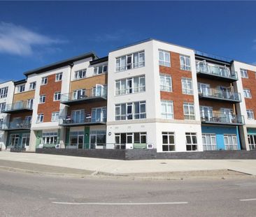 Olive Tree Court, - Photo 2