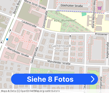 Striesen-Stadtgarten-2 Zimmer Wohnung mit großem Balkon - frei ab 0... - Foto 1