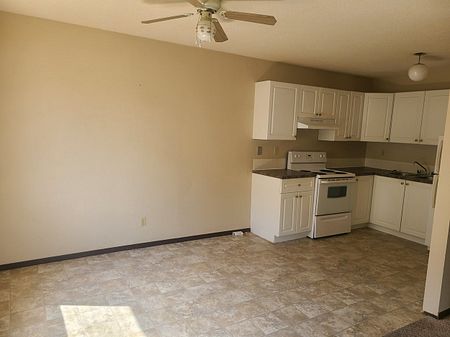 Pet Friendly 2 Bedroom, 1 Bathroom Apartment - Photo 2