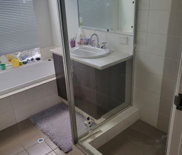 Seville Grove - Photo 2