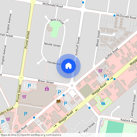 391 Kotthoff Street, LAVINGTON NSW 2641