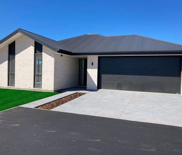 Modern 3 Bedroom Home in Ashburton - Photo 4