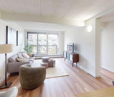 218 Maclaren Street, Centretown, Ottawa, ON - Photo 4