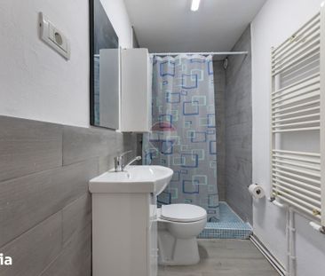 Spatiu de inchiriat cu 4 camere și 4 băi Zona Făt-Frumos - Fotografie 2