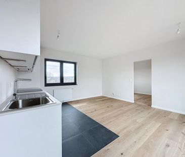 Dance: Superb 1 bedroom penthouse. + terrace - Photo 5