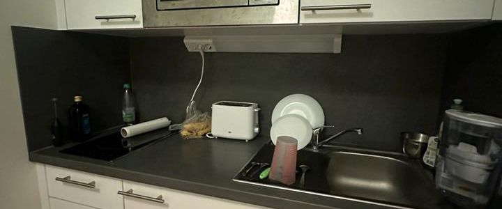 Nachmieter gesucht ab 01.12. für Wohnung in Gallus - Foto 1