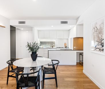 712/8 Northcote Street, Naremburn NSW 2065 - Apartment For Rent | D... - Photo 2