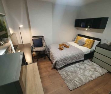 Premier Plus Studio - Photo 5