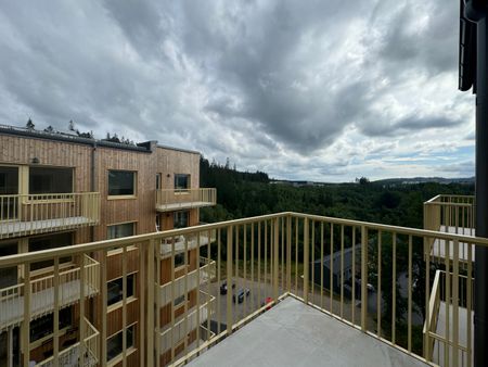 Klättergatan 13 – 1 rok (lgh 1704) - Photo 5