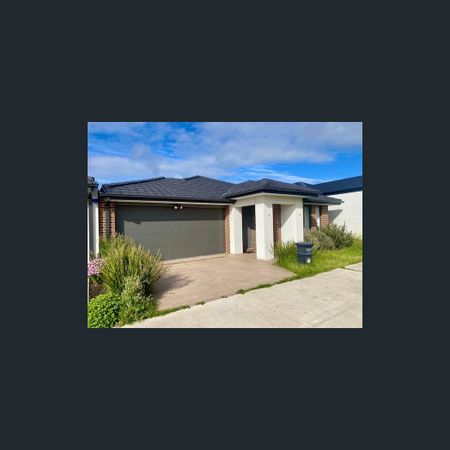 43 Elsternwick Way, Craigieburn, Vic 3064 - Photo 4