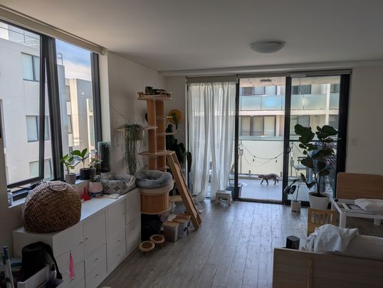 Marrickville - Photo 1