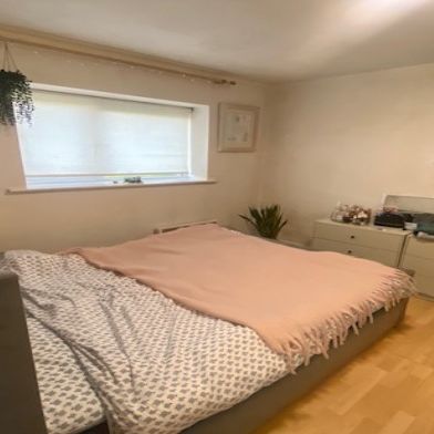 Castlecurragh Heath, Blanchardstown, Dublin 15 - Photo 3